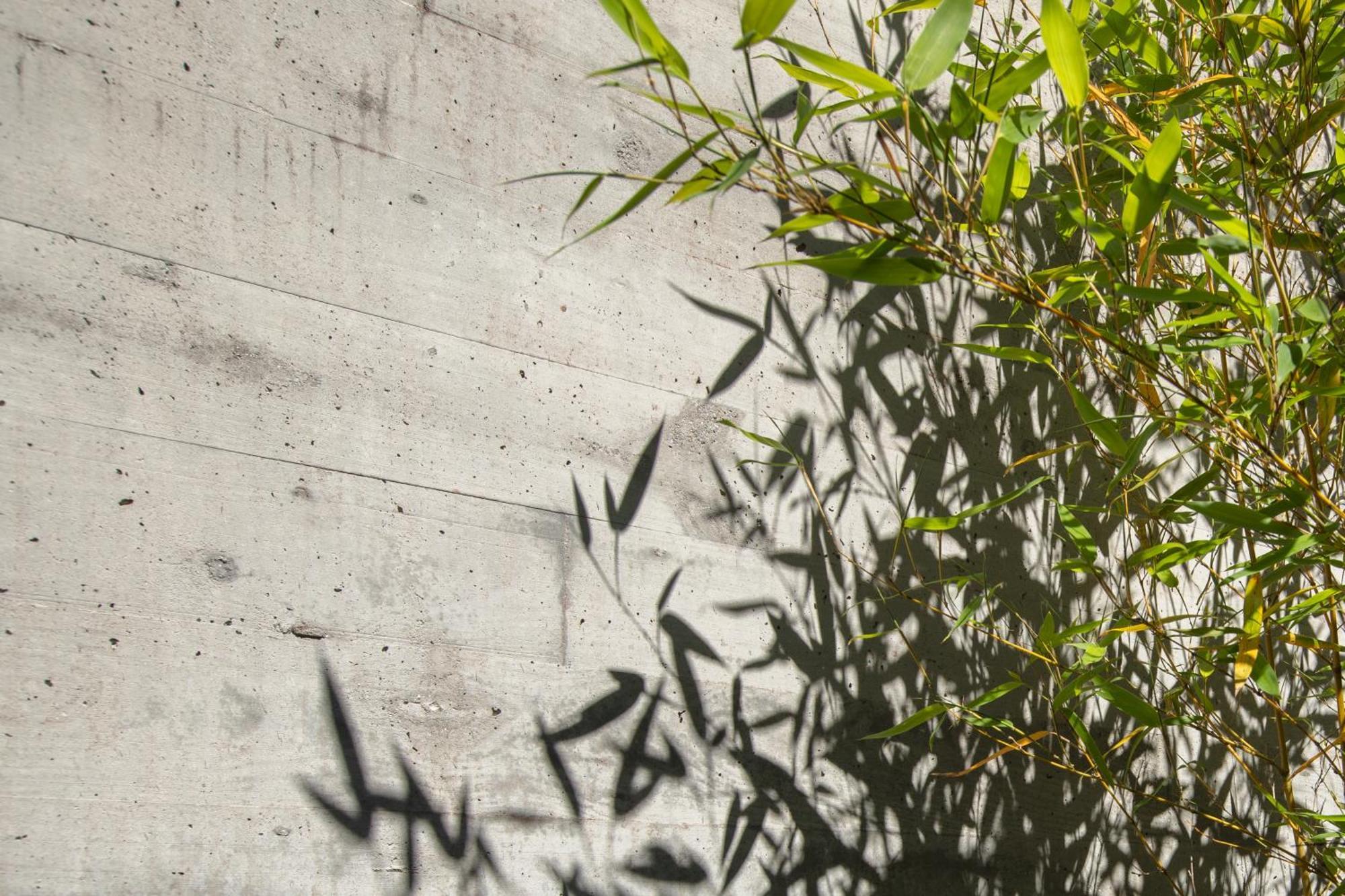 Villa Con Piscina Y Jardin, Santiago De Compostela Teo 外观 照片
